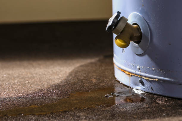 Best Water damage restoration near me  in Kirkl, IN