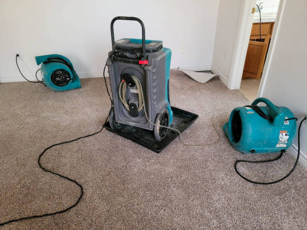 Best Basement water damage restoration  in Kirkl, IN