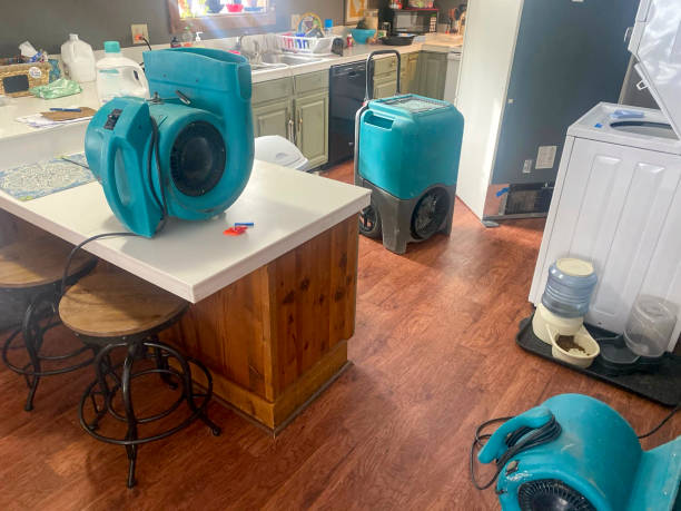  Kirkl, IN Water damage restoration Pros