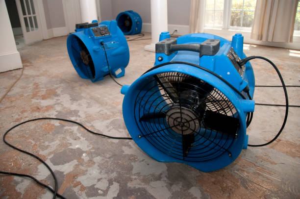 Best Local water damage restoration  in Kirkl, IN