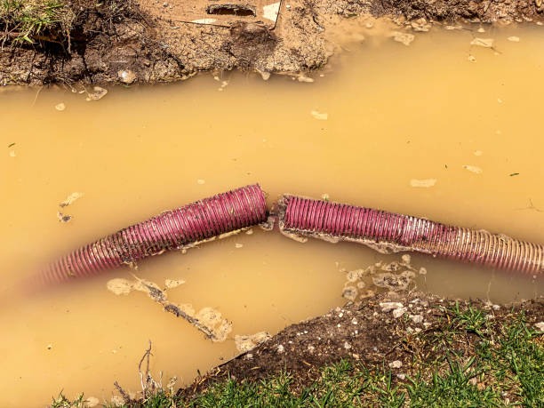 Best Emergency water damage restoration  in Kirkl, IN