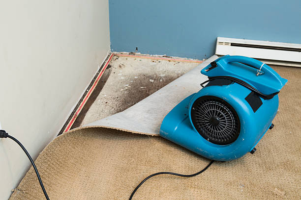 Best Carpet water damage restoration  in Kirkl, IN